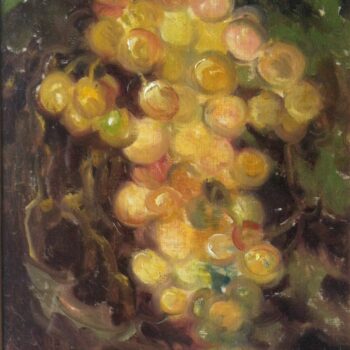 Grappolo d’uva - Weiße Traube 1960 Tempera grassa - Öltempera, 24x19