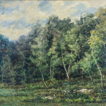 Colloquio col bosco - Zwiegespräch mit dem Wald, 1954, aquarello - Aquarell, 49,5x59,5, Regione TAA - Re